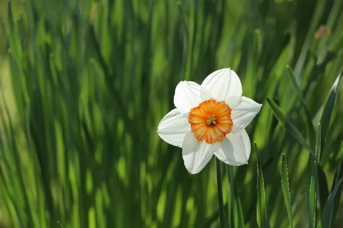 Natures Beauty