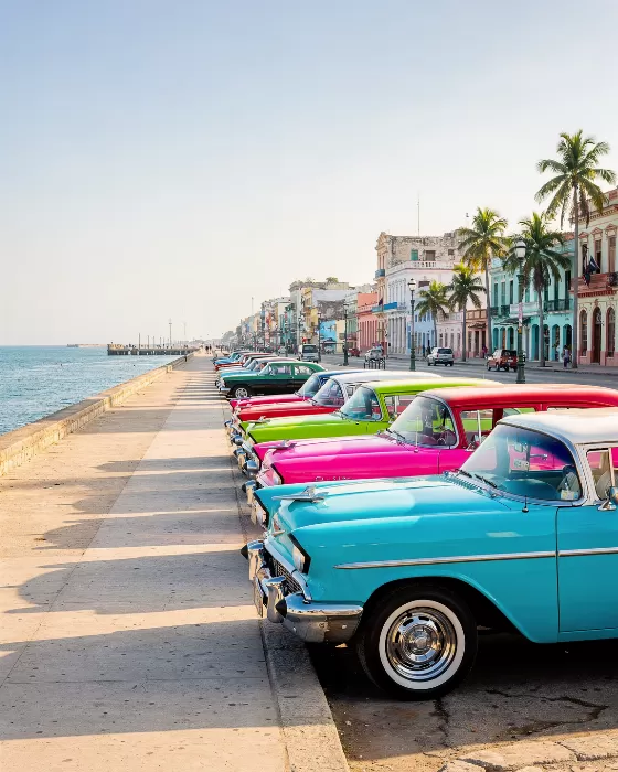 Havana Morning