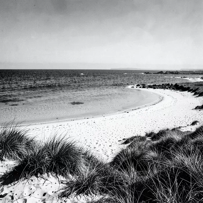 Machair Edge