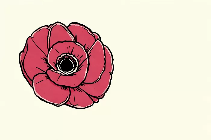 Rose Peony II