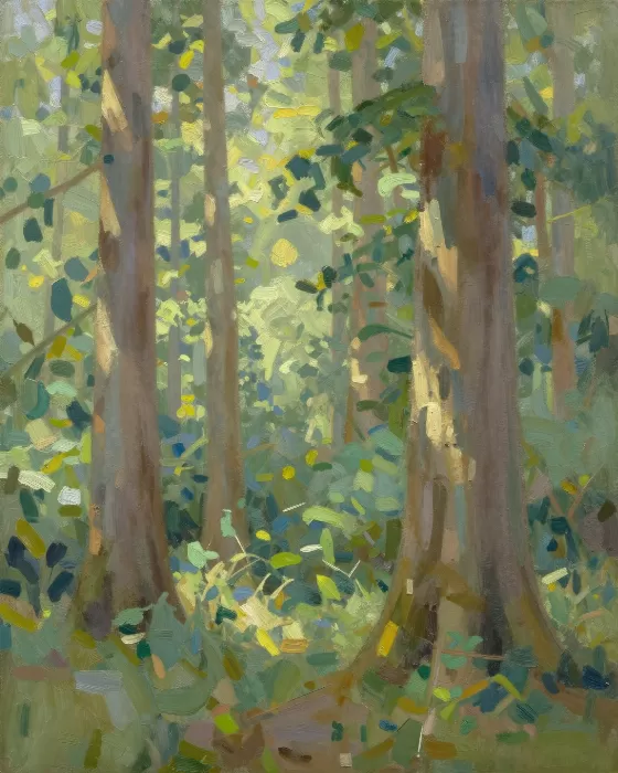 Morning Canopy