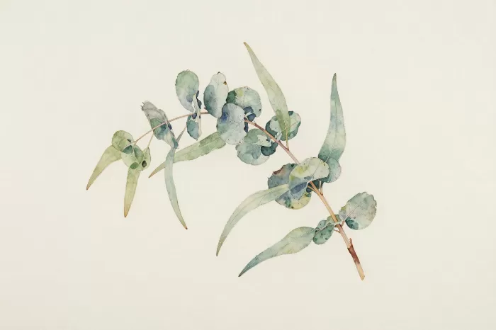 Pale Botanica