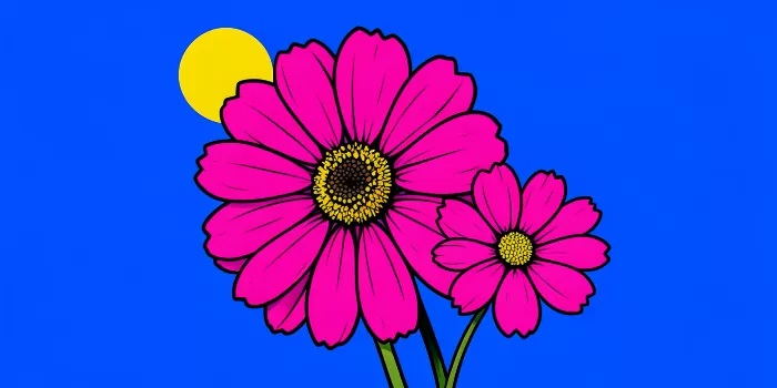 Cosmos Daisy