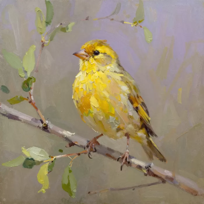Citrine Finch