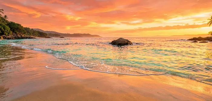 Maui Shore