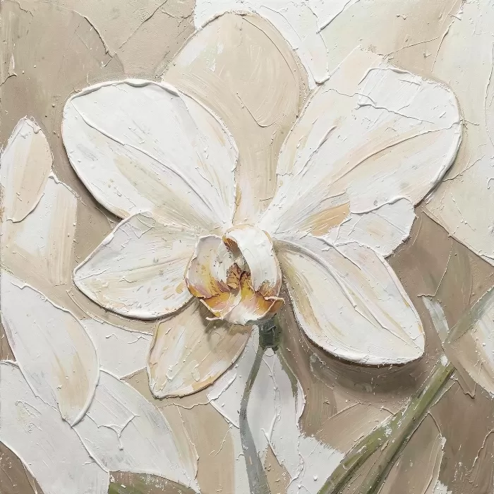 Orchid Plaster