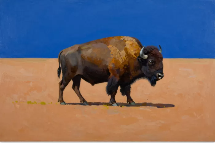 Blue Sky Bison