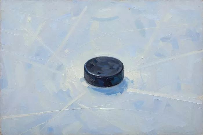 Ice Puck