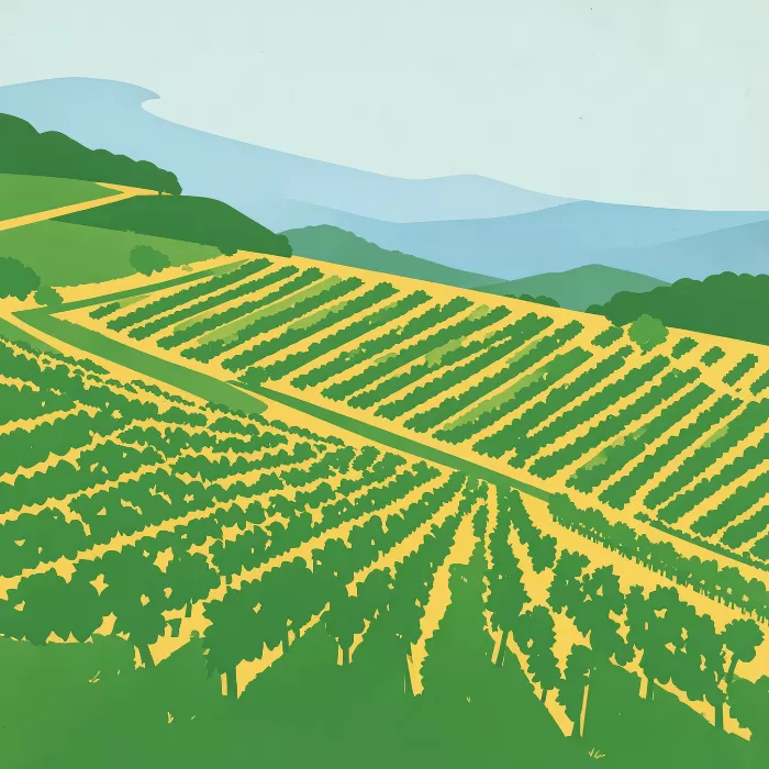 Terraced Slope