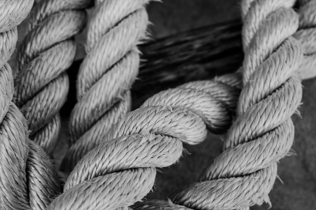Fisherman's Knot II - Newfoundland art print