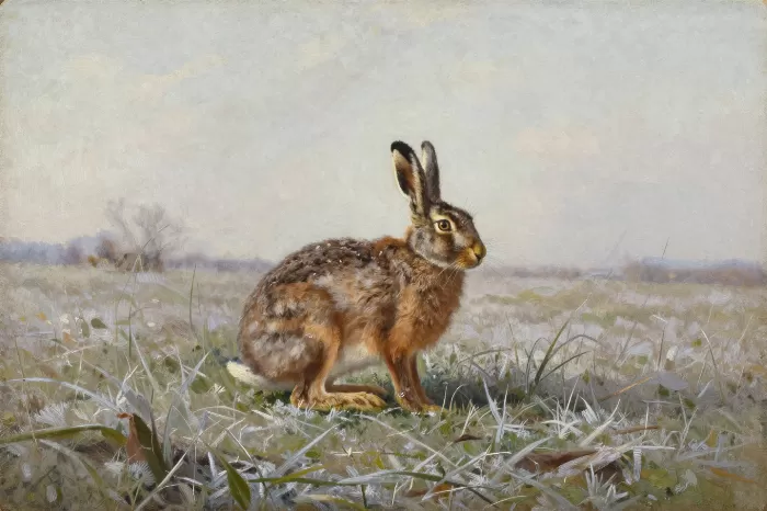 Winter Hare