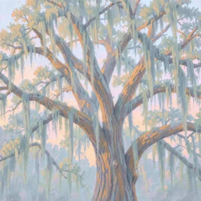 Live Oaks
