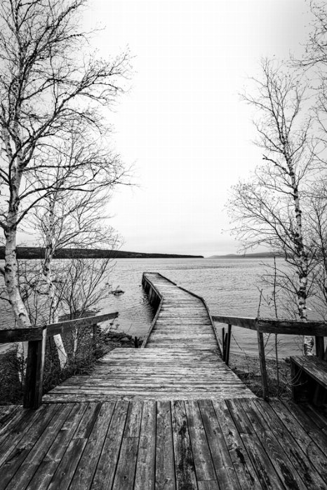 The Dock On The Bay - Newfoundland art print