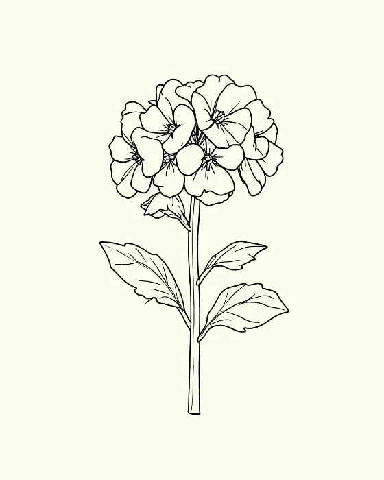 Ink Geranium