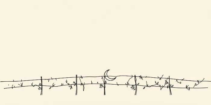Crescent Vine