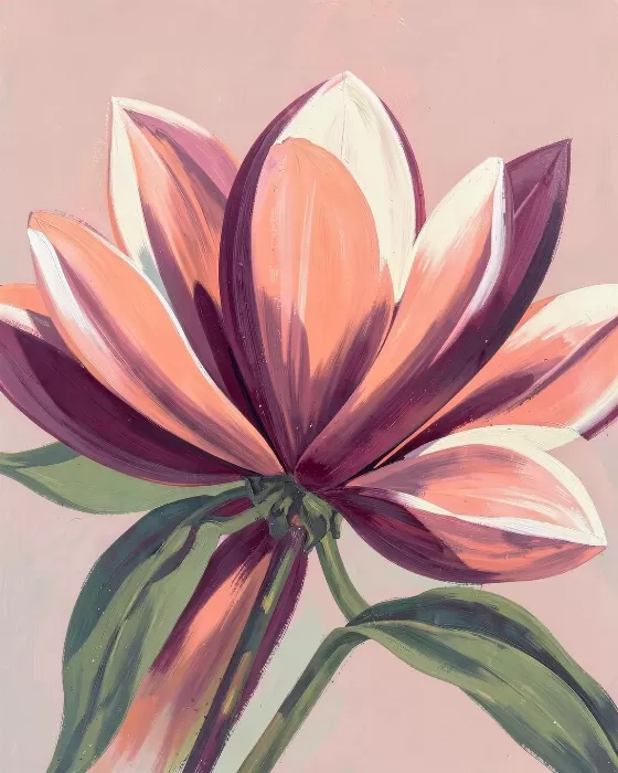 Coral Magnolia