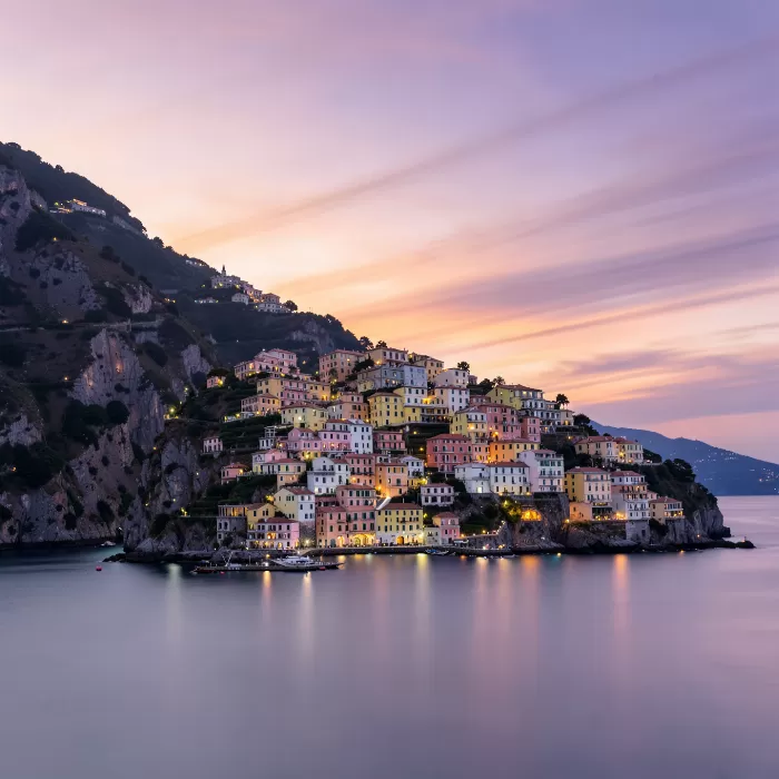 Violet Coast