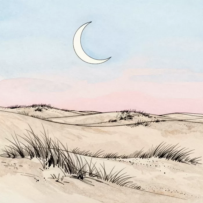 Dune Crescent