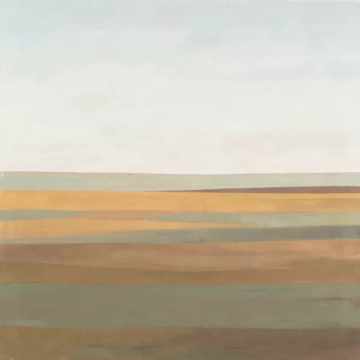 Plateau Haze