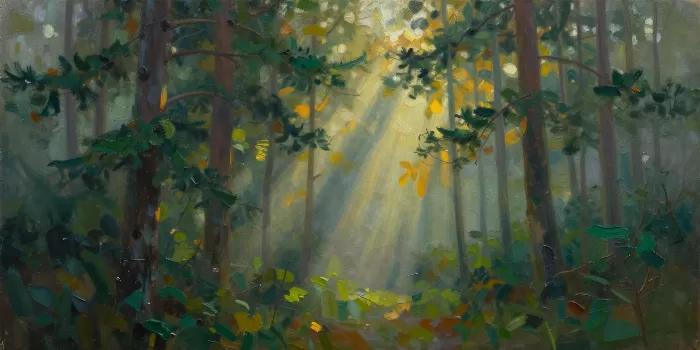 Misty Timber
