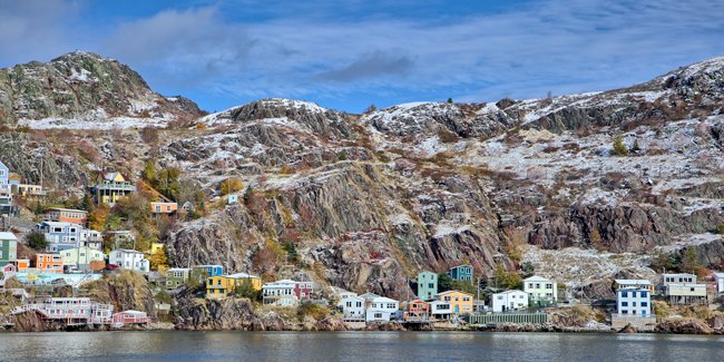 A Brush Of Snow - Newfoundland art print