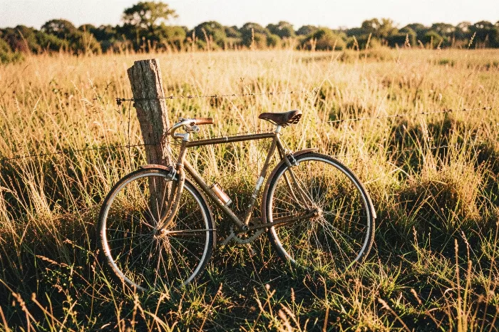 Field Ride