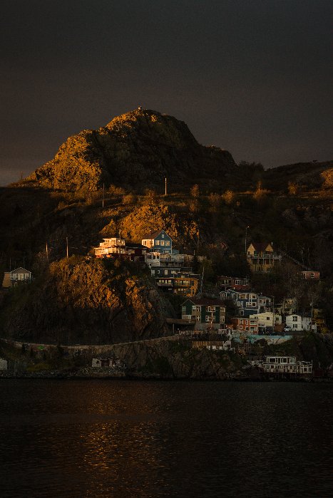 Spotlight - Newfoundland art print