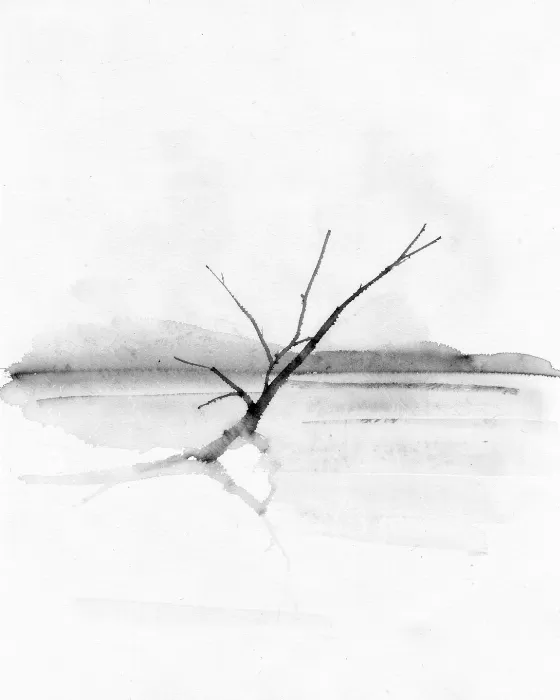 Still Branch