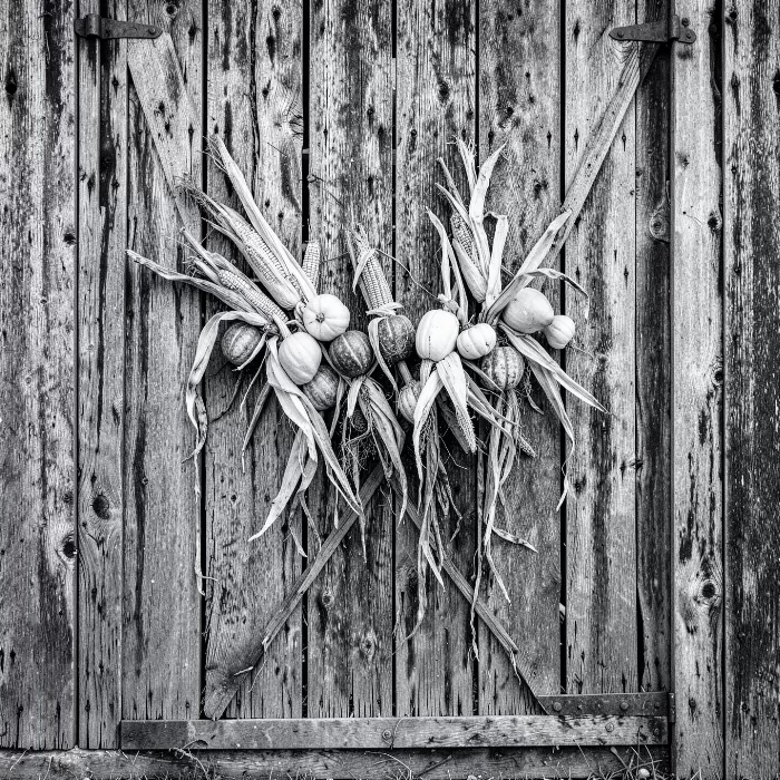 Harvest Doors