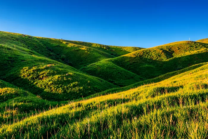Spring Ridges