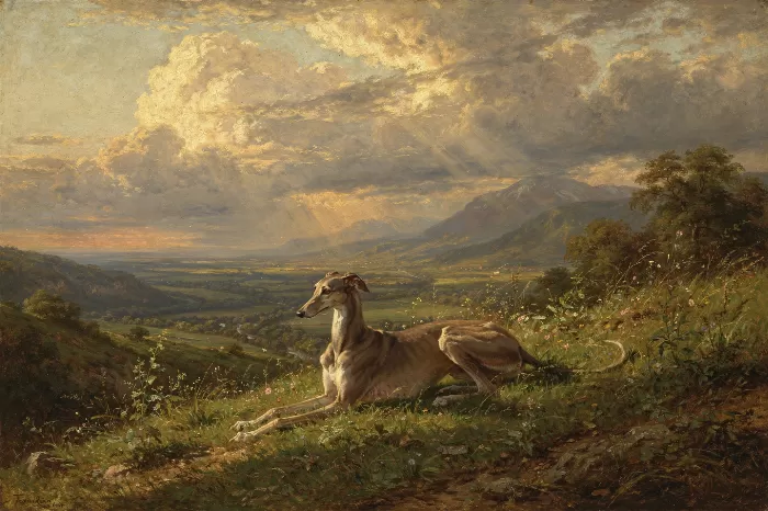 Hilltop Hound