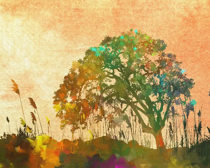 All About the Beauty