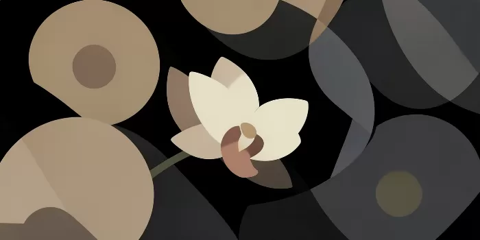Midnight Bloom