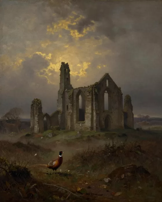Moorland Dusk