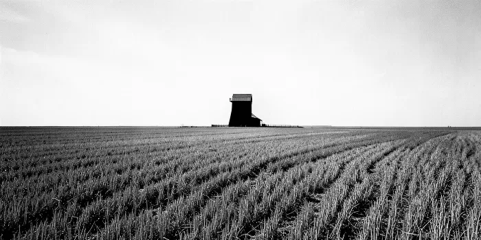 Flatland Giant