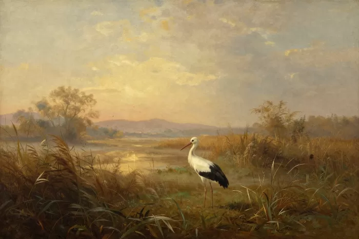 Stork At Dawn