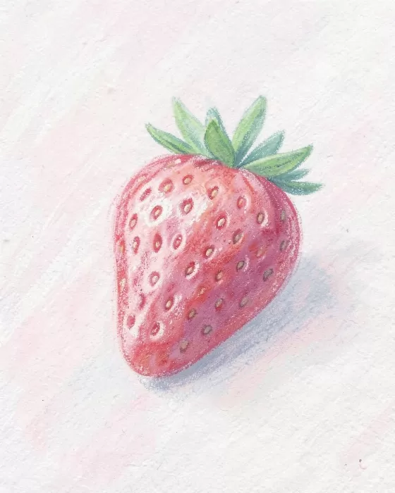 Strawberry Study