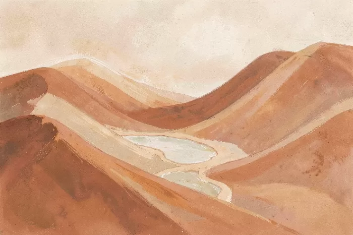 Ochre Tidepools