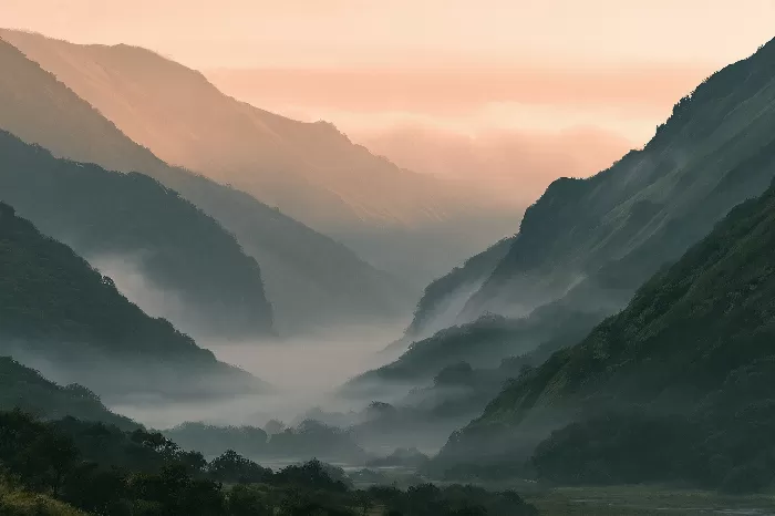 Misted Dawn