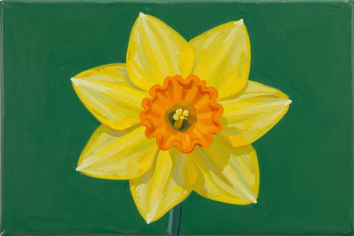 Crisp Daffodil