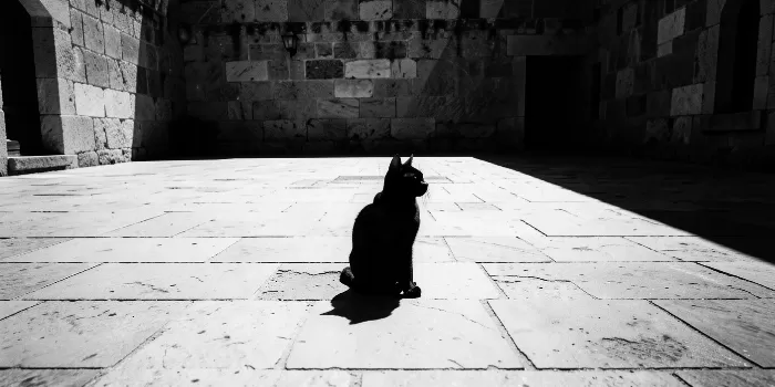 Shadow Stretch