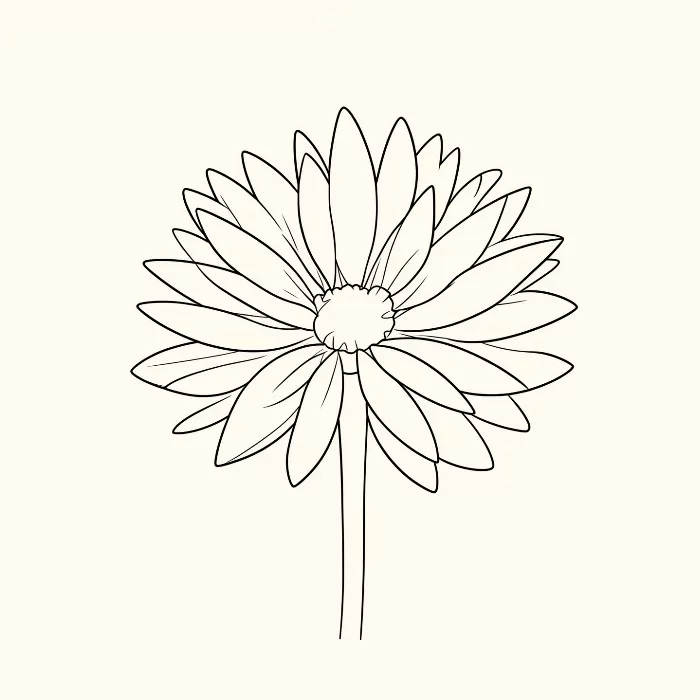 Spare Petals