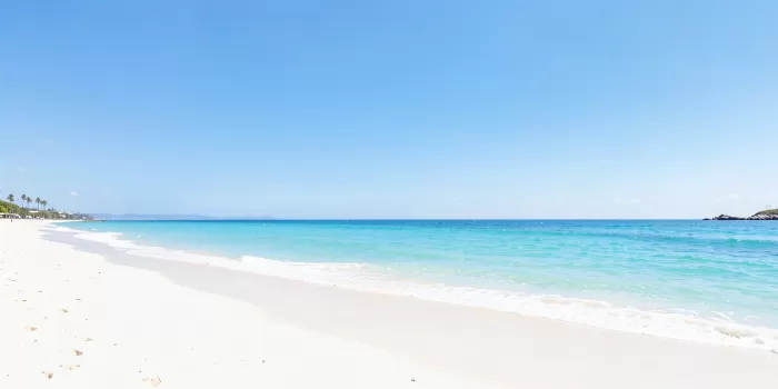 Pale Sands
