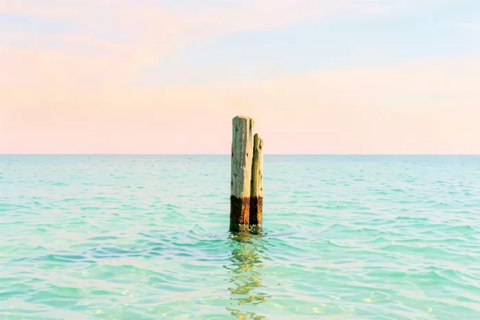 Coastal Solitude