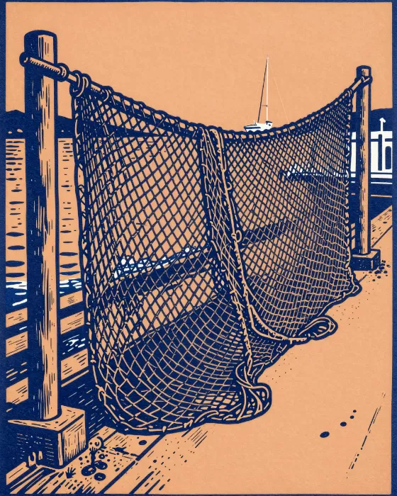 Indigo Mesh