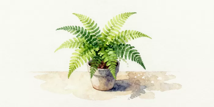 Green Wash