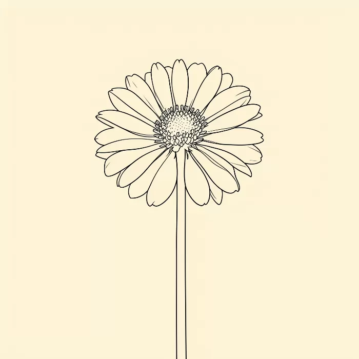 Zinnia Line