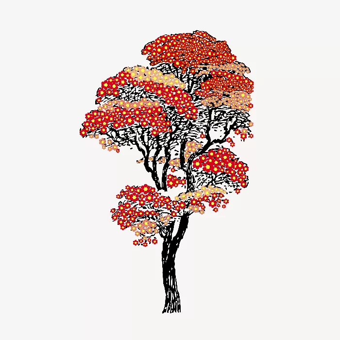 Japanese autumn tree