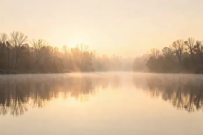 Gold Dawn