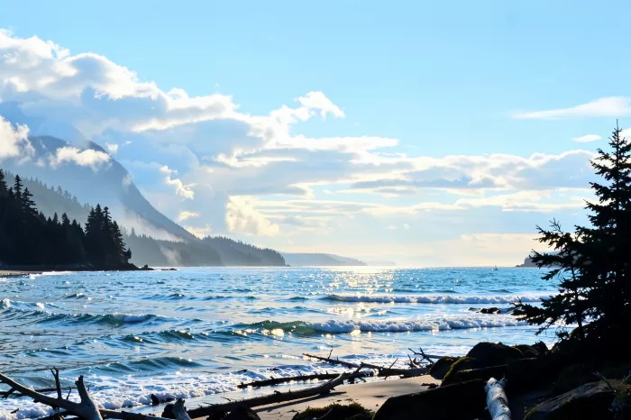 Tofino Light